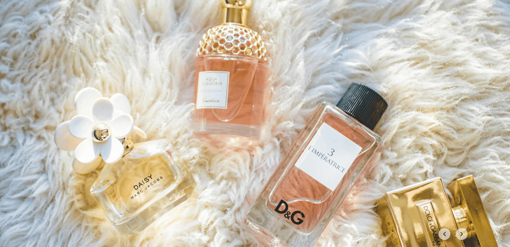 Find your scent